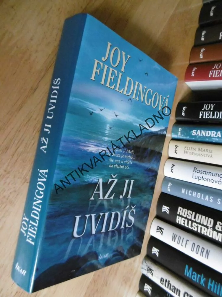 AŽ JI UVIDÍŠ, JOY FIELDINGOVÁ, **an