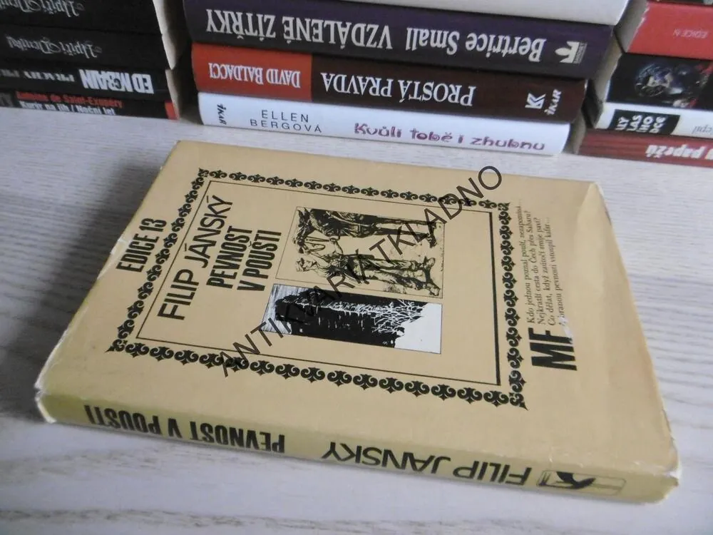 PEVNOST V POUŠTI, FILIP JÁNSKÝ, **an