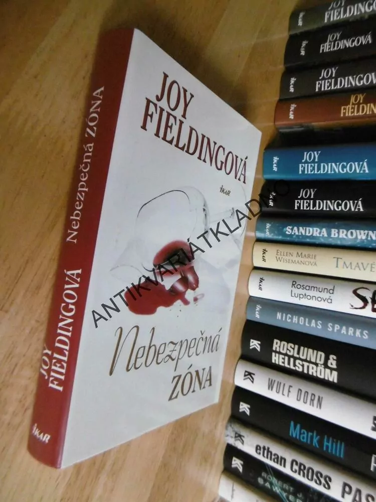 NEBEZPEČNÁ ZÓNA, JOY FIELDINGOVÁ, **an