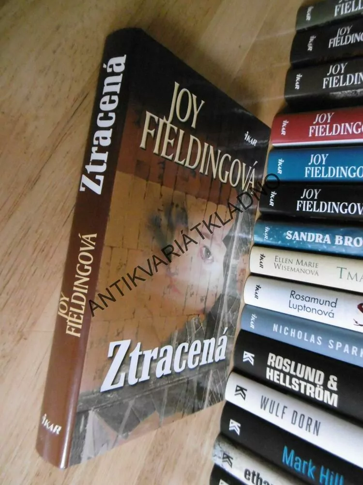 ZTRACENÁ, JOY FIELDINGOVÁ, **an
