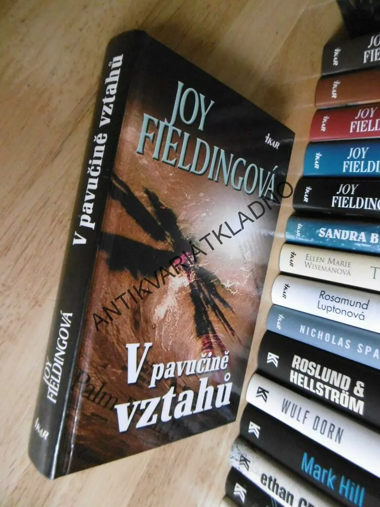 V PAVUČINĚ VZTAHŮ, JOY FIELDINGOVÁ, **an