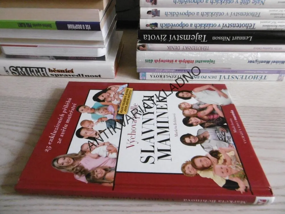 VÝCHOVA PODLE SLAVNÝCH MAMINEK, MARKÉTA BEHINOVÁ, **an