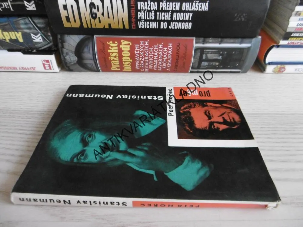 PETR HOŘEC, STANISALAV NEUMANN, **an