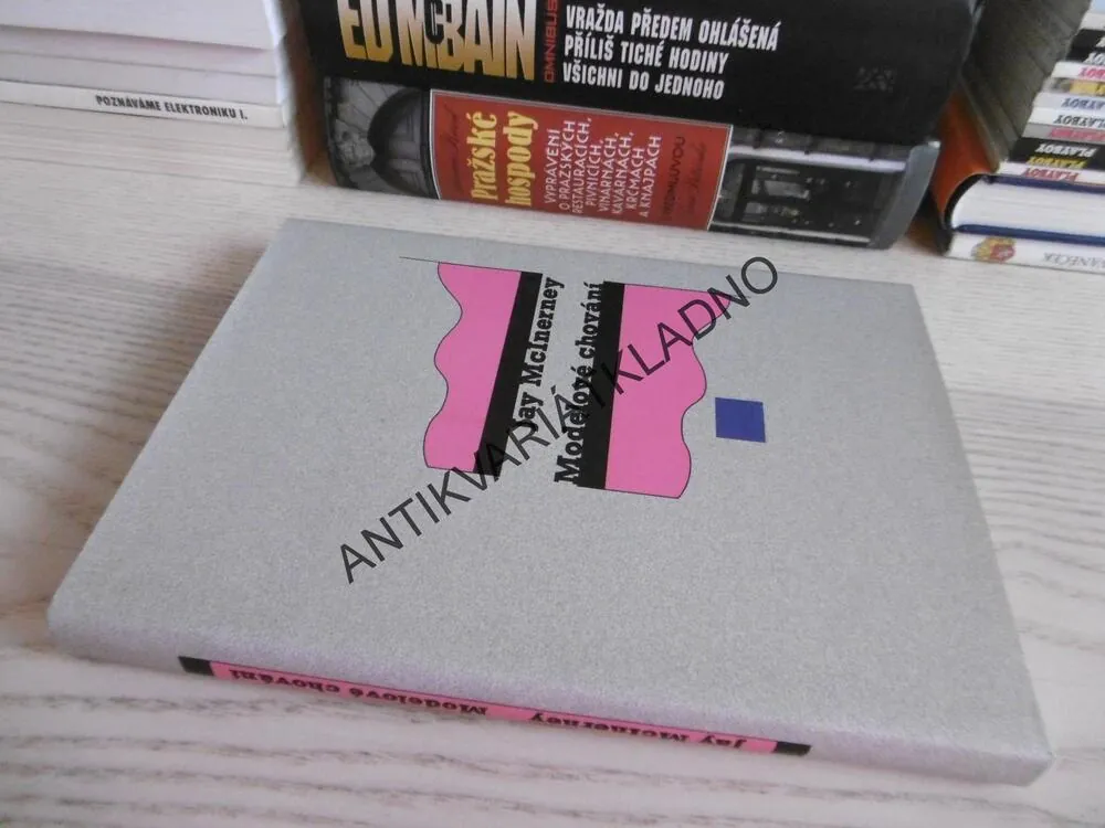 MODELOVÉ CHOVÁNÍ, JAY MCINERNEY, **an