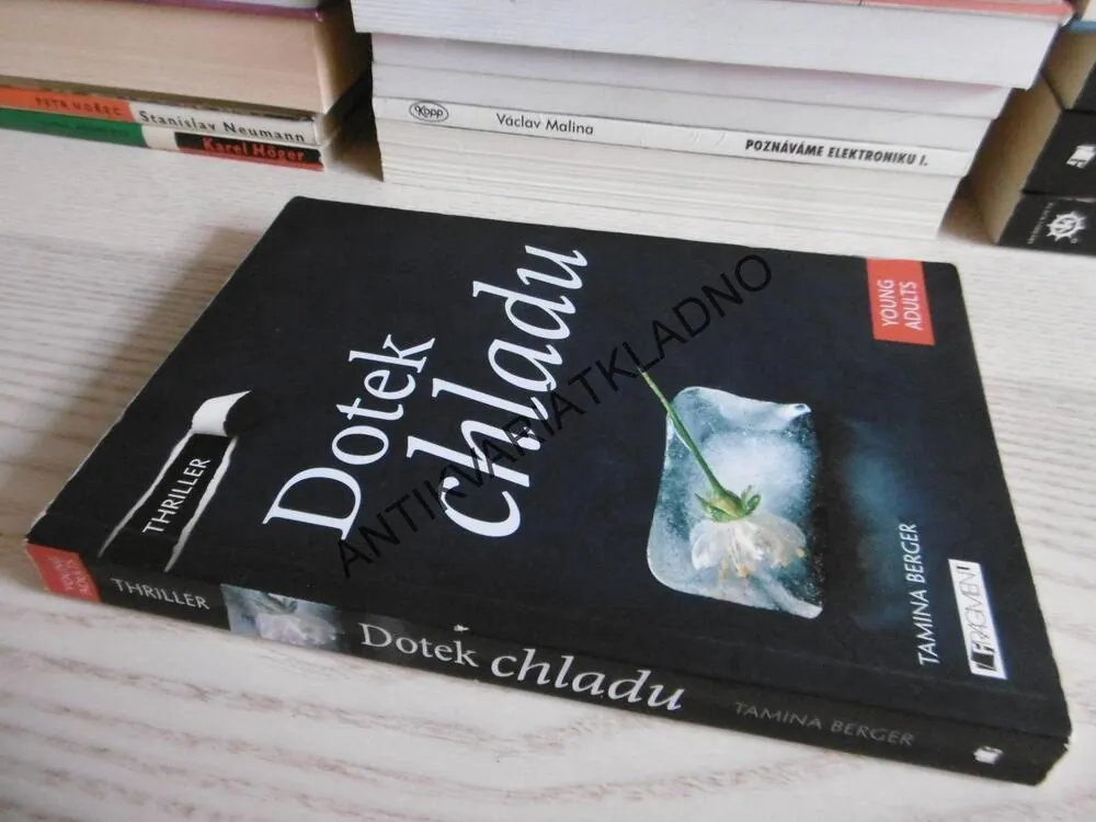 DOTEK CHLADU, TAMINA BERGER, **an