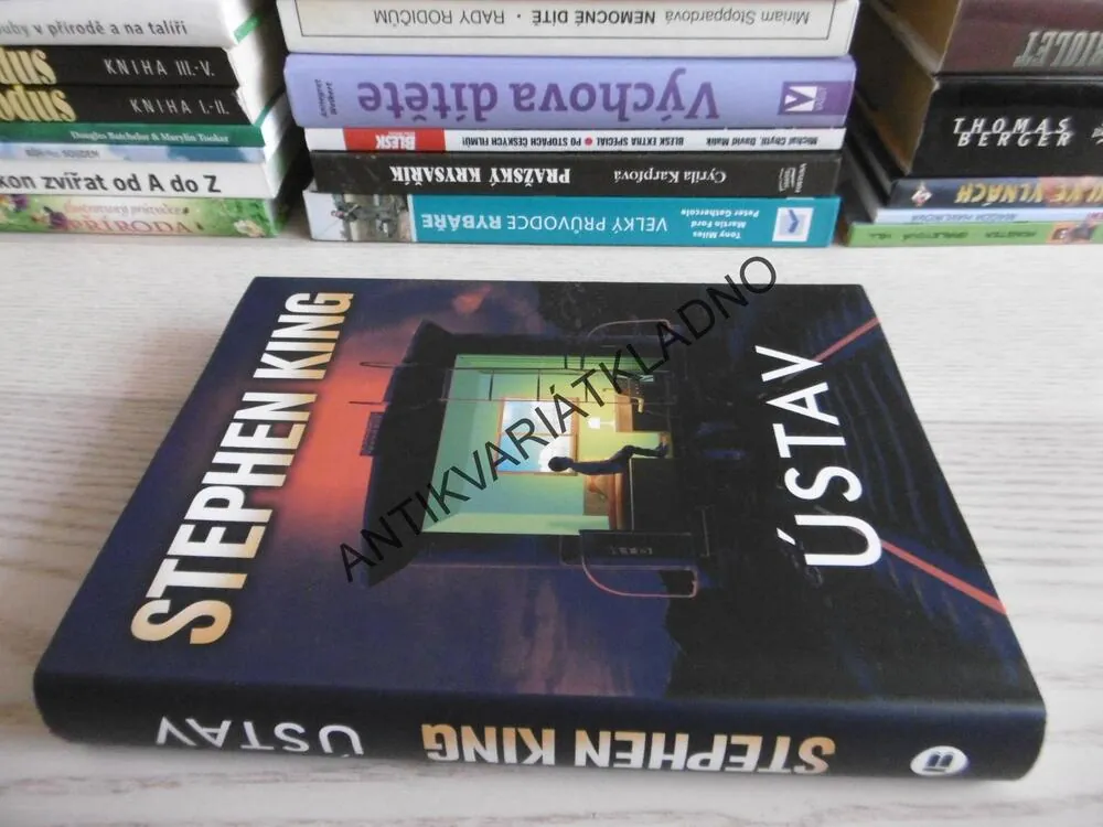 ÚSTAV, STEPHEN KING, **an