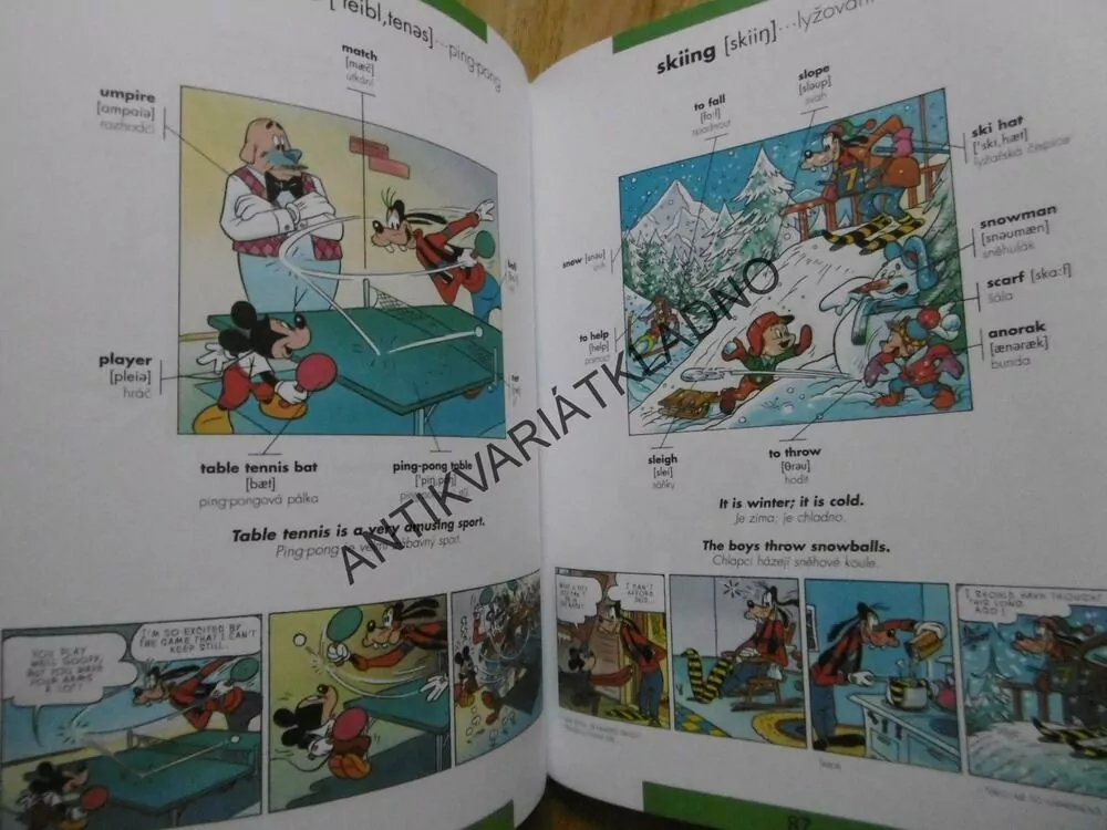 OBRÁZKOVÝ SLOVNÍK ANGLICKO ČESKÝ, 1000 SLOV, WALT DISNEY, **an