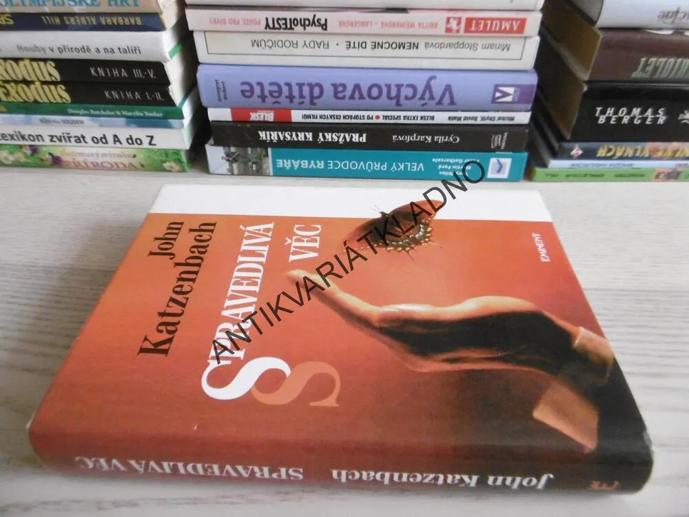 SPRAVEDLIVÁ VĚC, JOHN KATZENBACH, **an