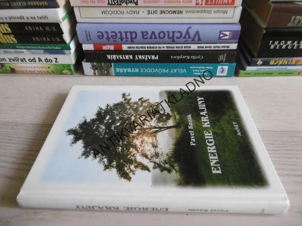 ENERGIE KRAJINY, PAVEL KOZÁK, **an
