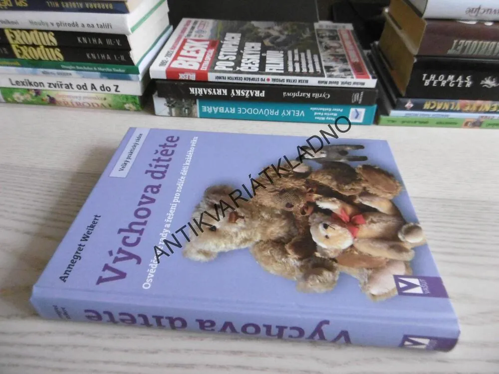 VÝCHOVA DÍTĚTE, ANNEGRET WEIKERT, **an
