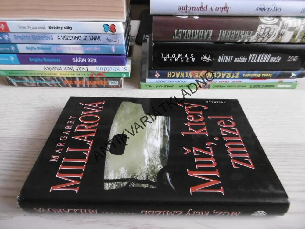 MUŽ, KTERÝ ZMIZEL, MARGARET MILLAROVÁ, **an