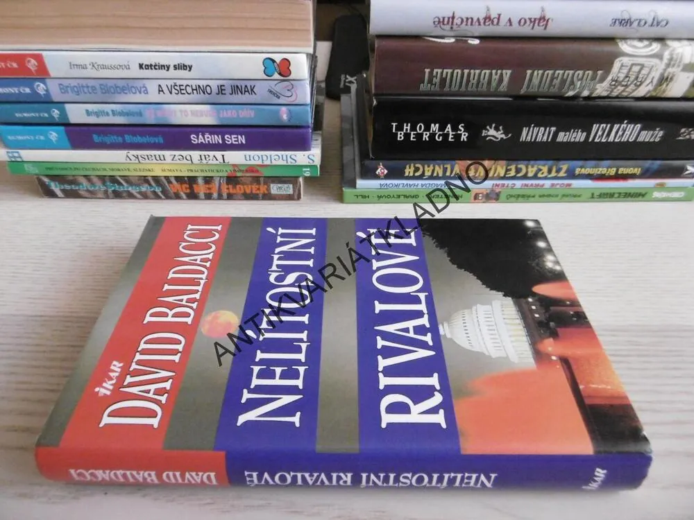 NELÍTOSTNÍ RIVALOVÉ, DAVID BALDACCI, **an