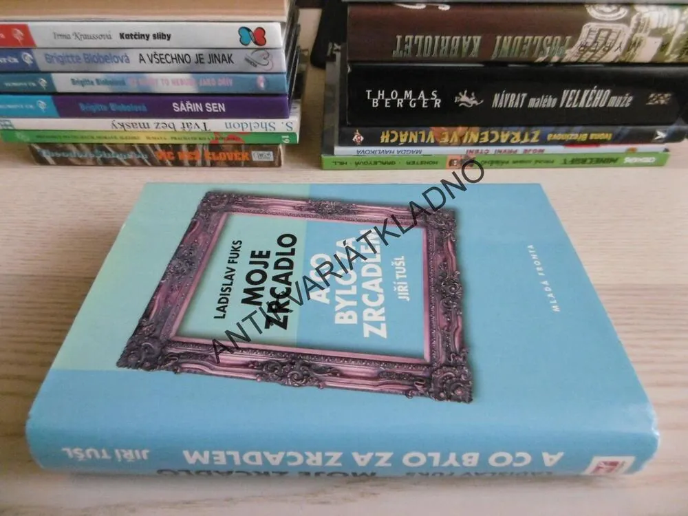 MOJE ZRCADLO, LADISLAV FUKS, A CO BYLO ZA ZRCADLEM, JIŘÍ TUŠL, **an
