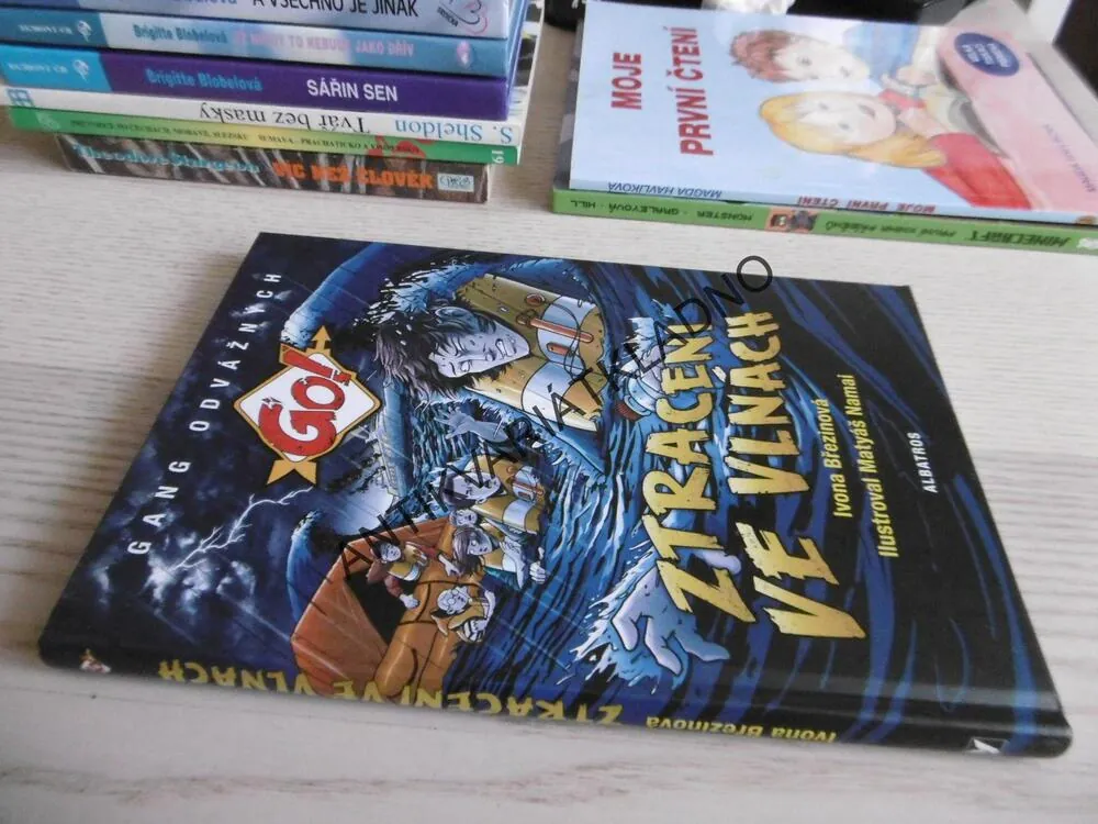 ZTRACENI VE VLNÁCH, IVONA BŘEZINOVÁ, **an