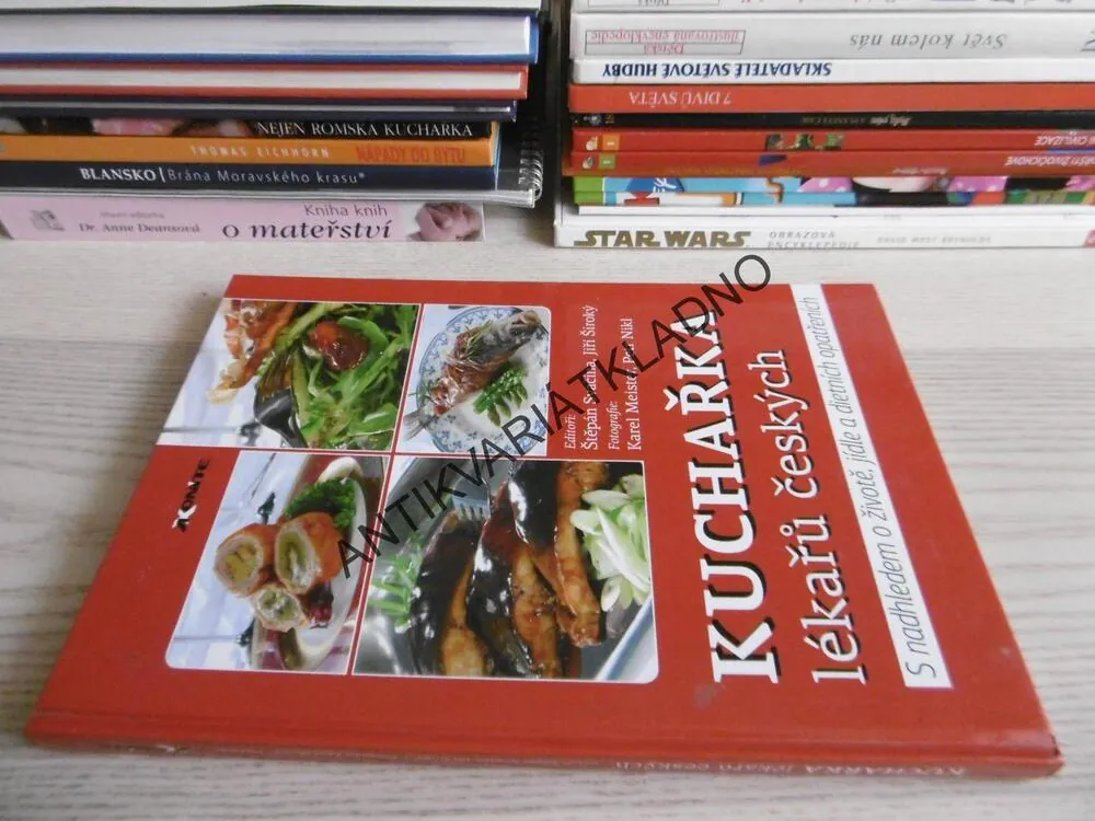 KUCHAŘKA LÉKAŘŮ ČESKÝCH, SVAČINA, ŠIROKÝ, RECEPTY, **an
