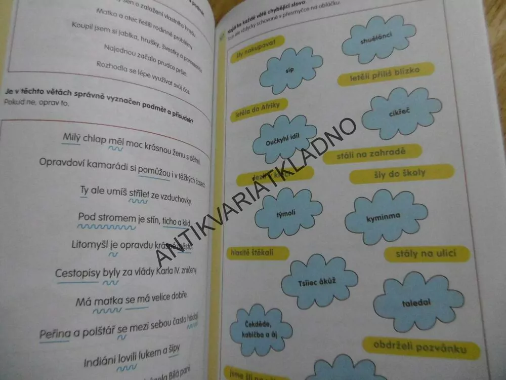 ČEŠTINA PRO 3.TŘÍDA, DOMÁCÍ PRACOVNÍ SEŠIT, BEČKOVÁ,