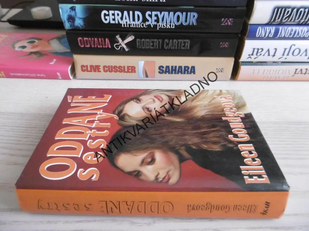 ODDANÉ SESTRY, EILEEN GOUDGEOVÁ, **an