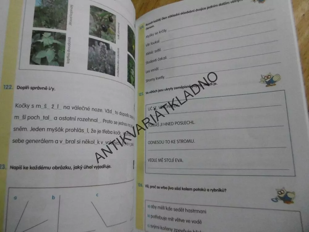 4.TŘÍDA, DOMÁCÍ PRACOVNÍ SEŠIT, BEČKOVÁ,