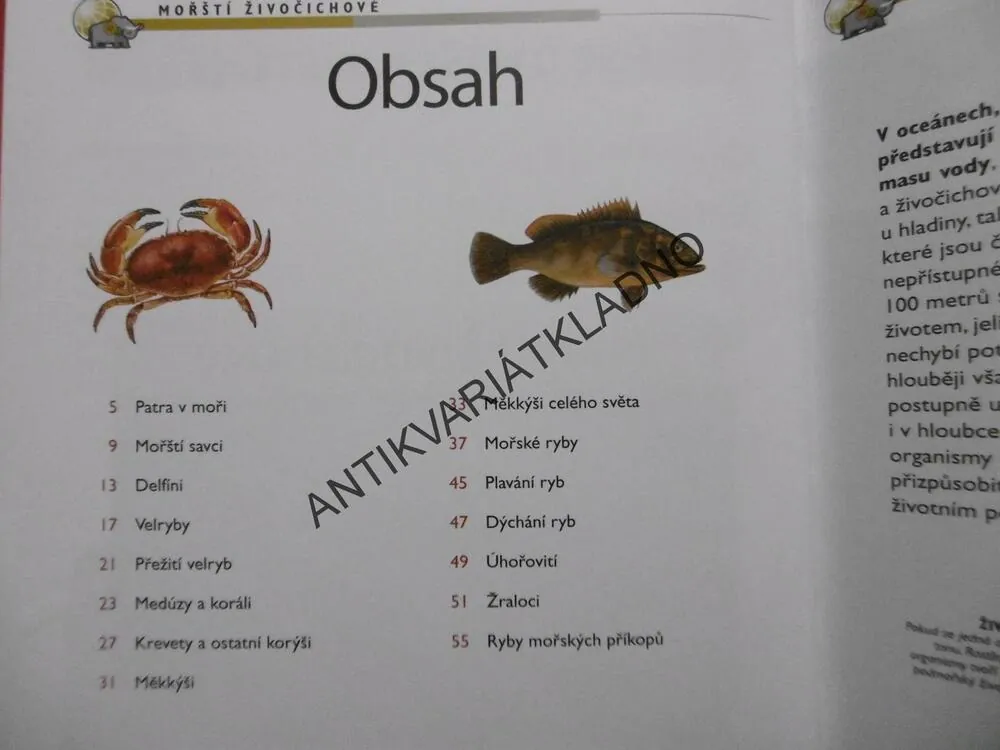 VŠE O NAŠEM SVĚTĚ, 1., MOŘŠTÍ ŽIVOČICHOVÉ, **an