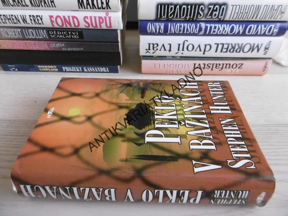 PEKLO V BAŽINÁCH, STEPHEN HUNTER, **an