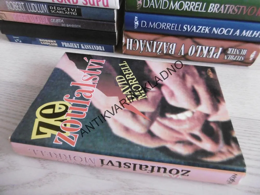 ZE ZOUFALSTVÍ, DAVID MORRELL, **an