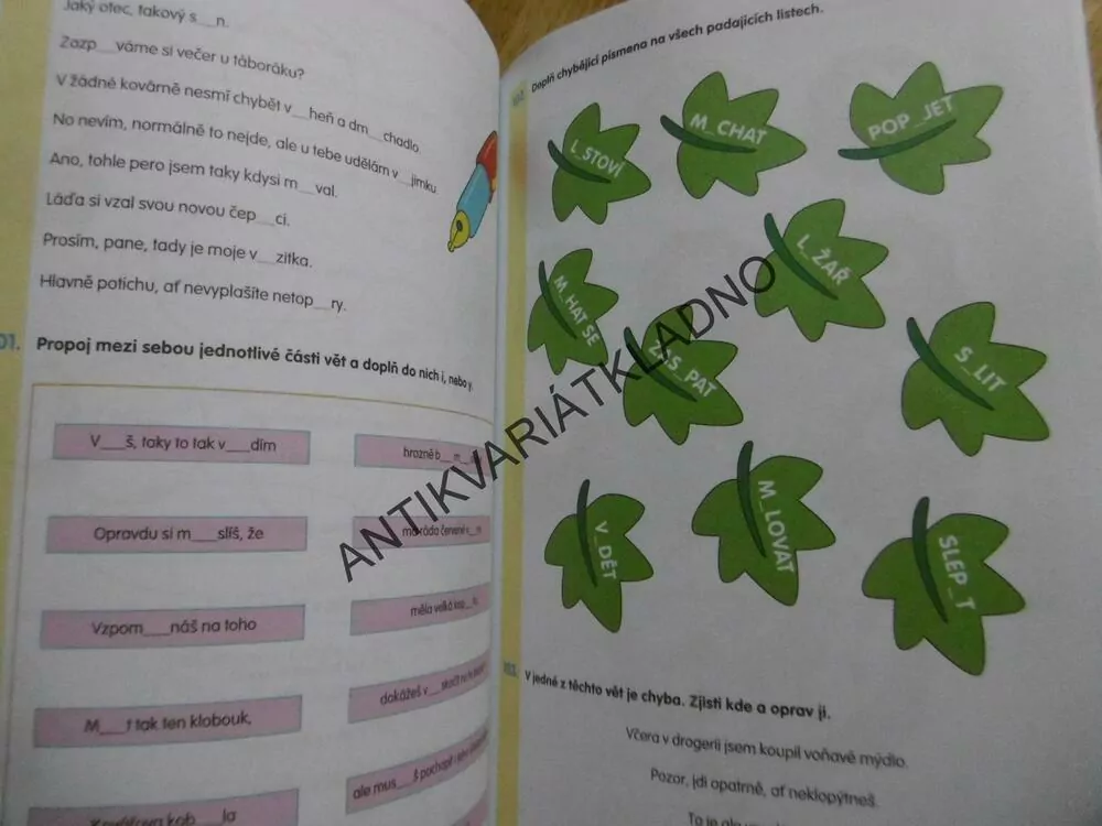 ČEŠTINA VYJMENOVANÁ SLOVA, DOMÁCÍ PRACOVNÍ SEŠIT, BEČKOVÁ,