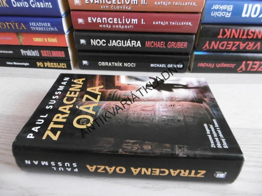 ZTRACENÁ OÁZA, PAUL SUSSMAN, **an