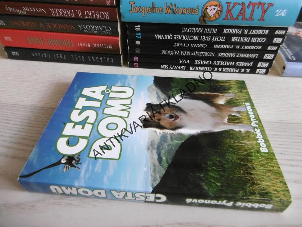 CESTA DOMŮ, BOBBIE PYRONOVÁ, **an