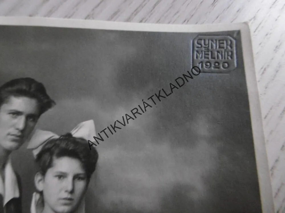 DÍVKA, CHLAPEC ŽÁCI GYMNÁZIA MĚLNÍK, FOTO SYNEK MĚLNÍK, 1920, FOTOPOHLEDNICE,