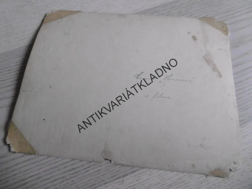 CAMILA HORNOVÁ VE FILMU, FOTOSKA FILM 