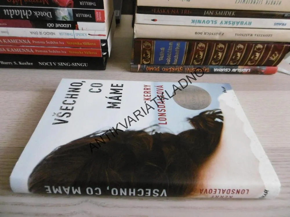 VŠECHNO, CO MÁME, KERRY LONSDALEOVÁ, **an