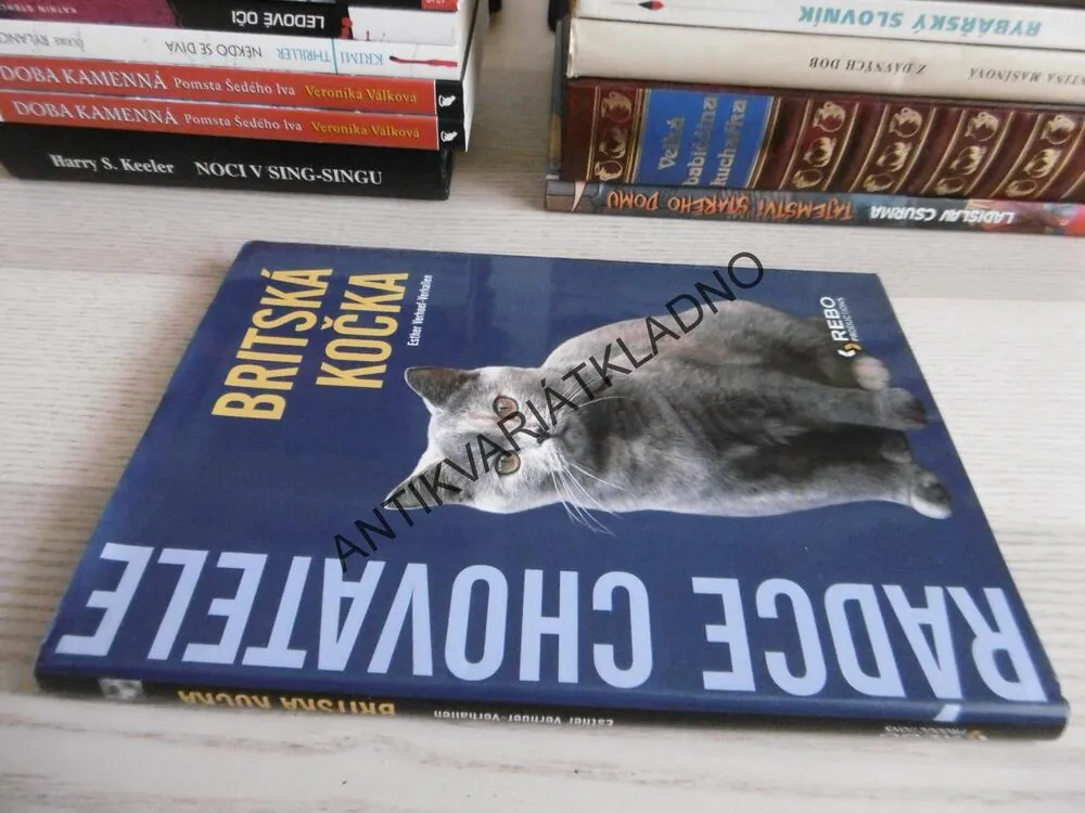 RÁDCE CHOVATELE, BRITSKÁ KOČKA, ESTER VERHOEF-VERHALLEN, **an