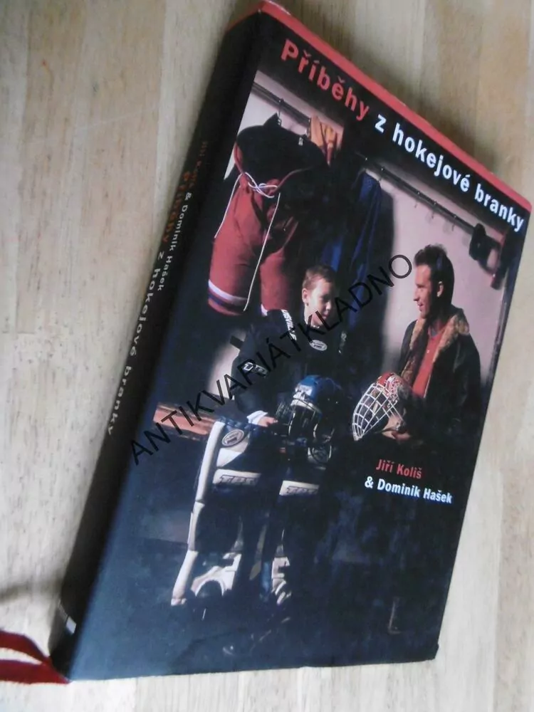 PŘEHLEDY Z HOKEJOVÉ BRANKY, KOLIŠ, HAŠEK, HOKEJ,
