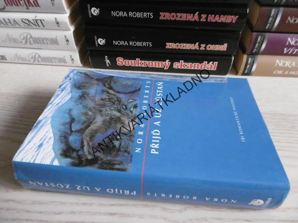 PŘIJĎ A ZŮSTAŇ, NORA ROBERTSOVÁ, **an