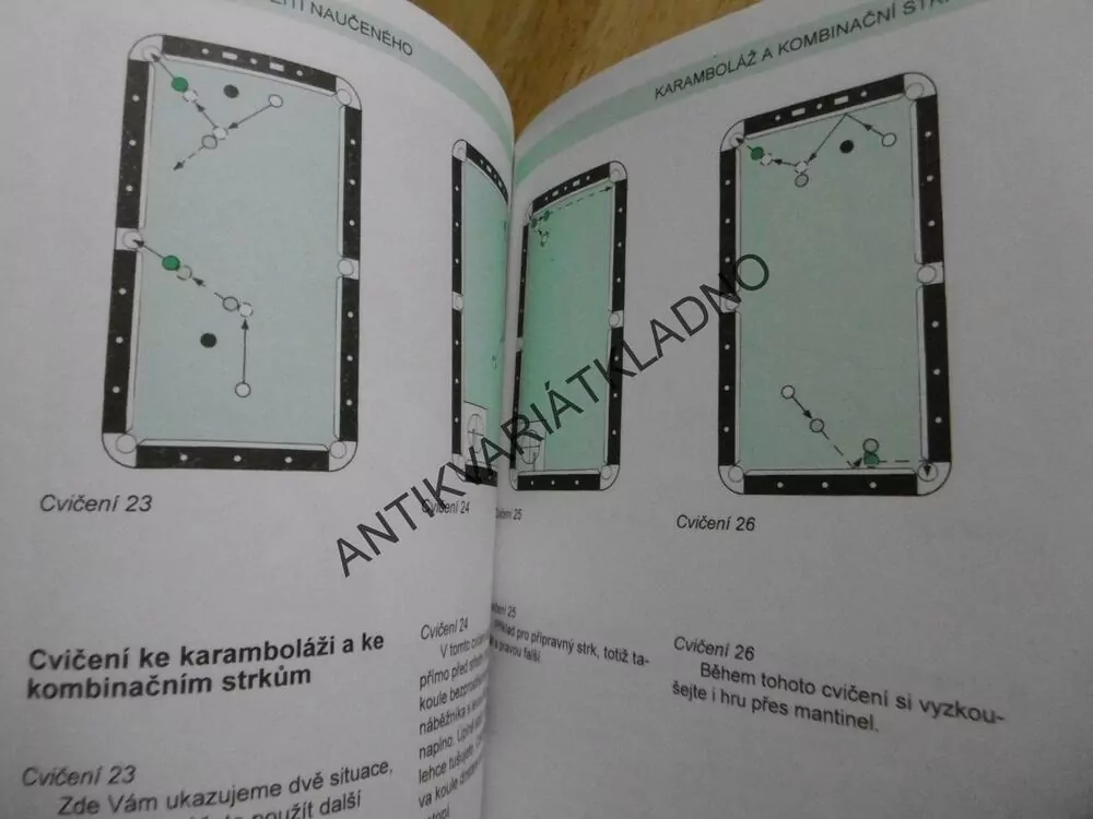 POOLBILLARD, KULEČNÍK,ZÁKLADY PRO TECHNIKY A HRY