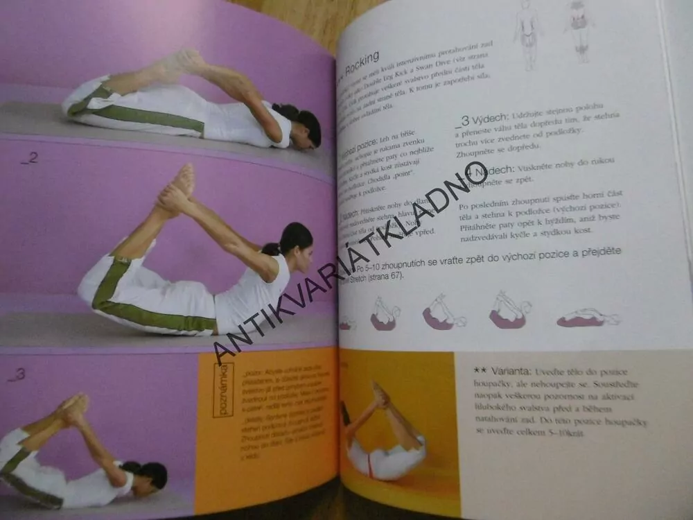 VELKÁ KNIHA PILATES, CVIKY PRO VŠECHNY ÚROVNĚ ZDATNOSTI, SPORT,CVIČENÍ