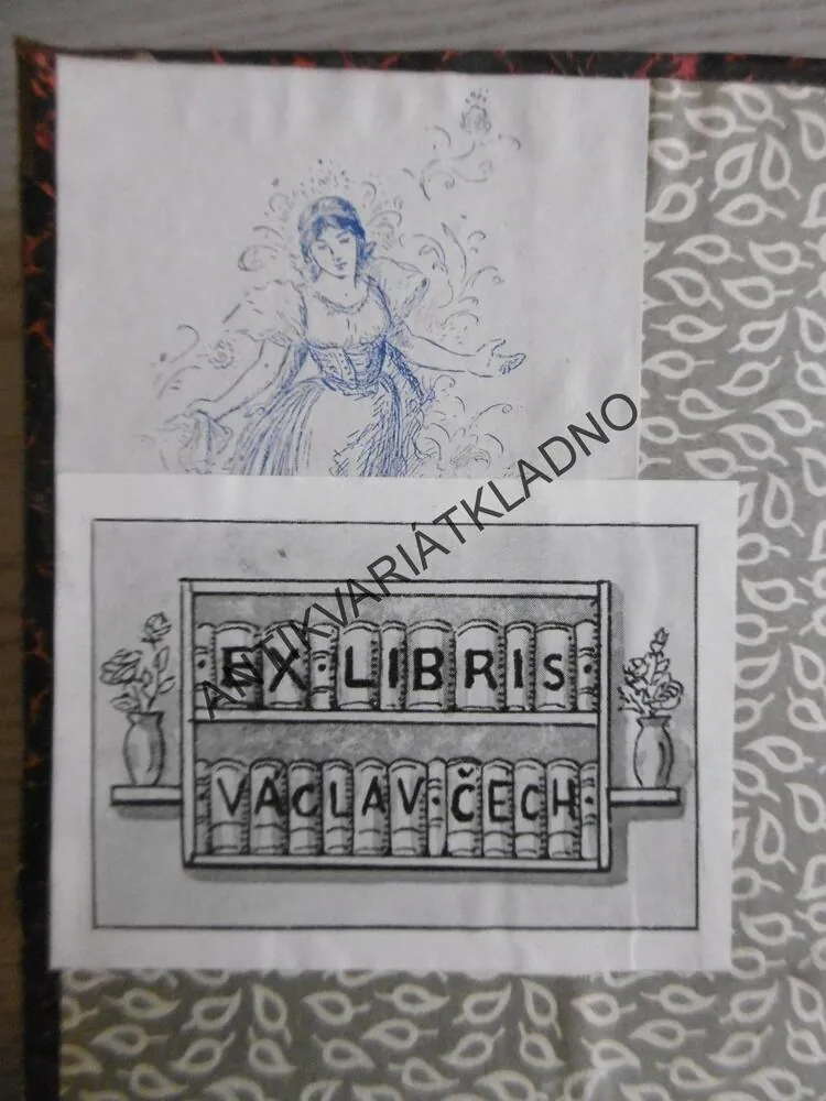 SRDCE LEDEM SPJATÁ, J. O. CURWOOD, FR. HORNÍK, **an