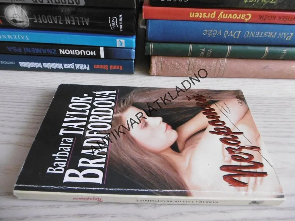 NEZAPOMEŇ, BARBARA TAYLOR BRADFORDOVÁ, **an