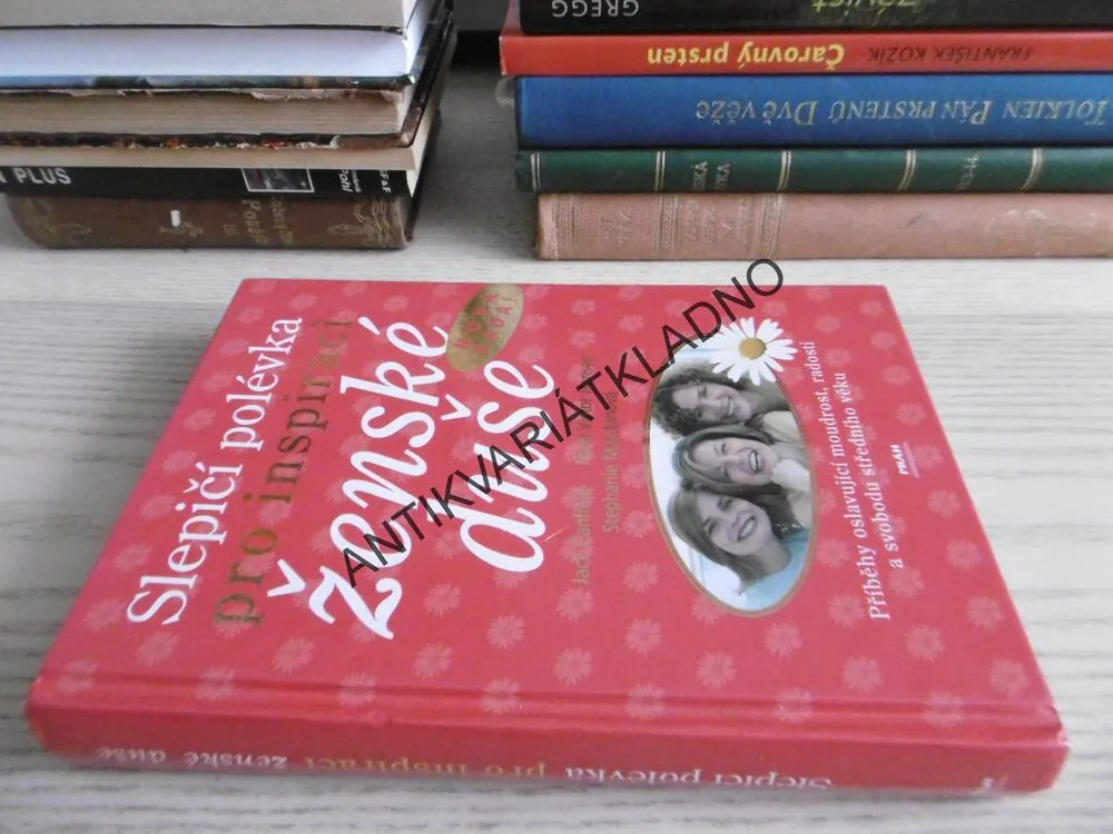 SLEPIČÍ POLÉVKA PRO INSPIRACI ŽENSKÉ DUŠE, JACK CANFIELD, **an