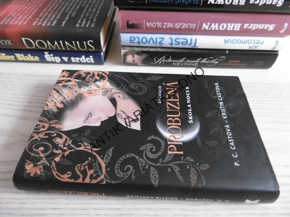 PROBUZENÁ, ŠKOLA NOCI 8., P. C. CASTOVÁ, KRISTIN CASTOVÁ, **an
