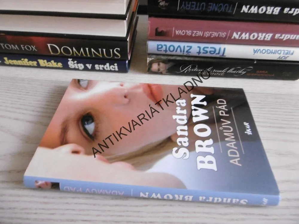 ADAMŮV PÁD, SANDRA BROWN,  **an
