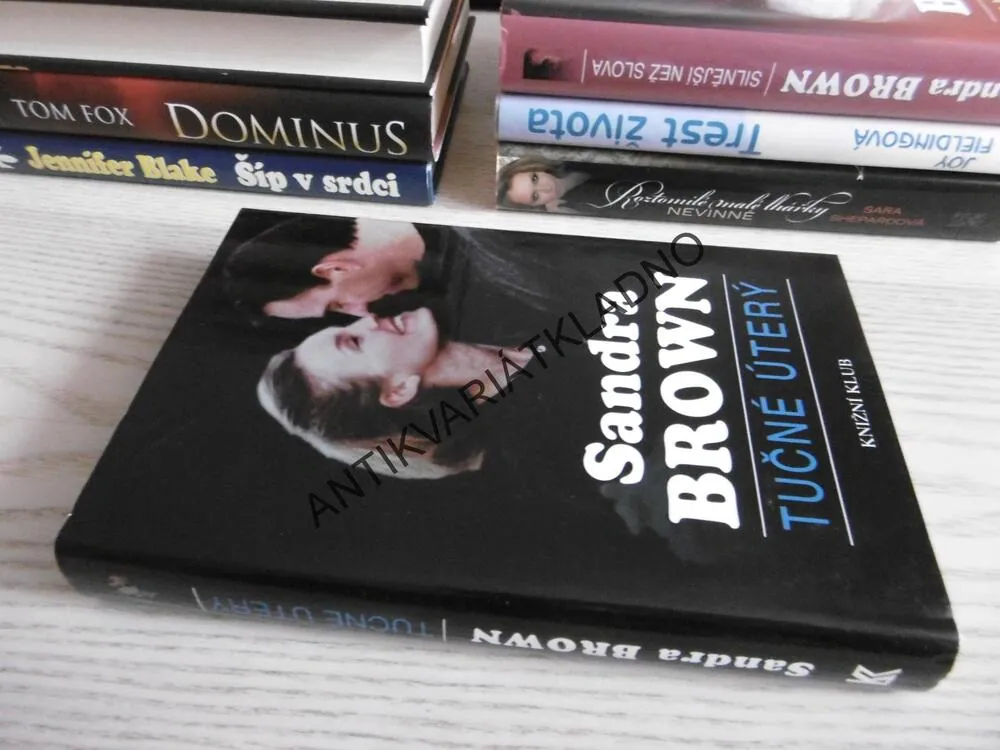 TUČNÉ ÚTERÝ, SANDRA BROWN, **an
