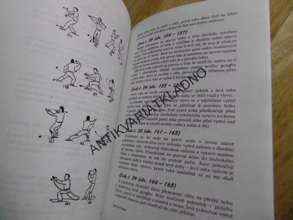 TCHAJ-ŤI-ČCHÜAN, TRADIČNÍ ČÍNSKÉ CVIČENÍ PRO ZDRAVÍ A SEBEOBRANU, TURNEBER,