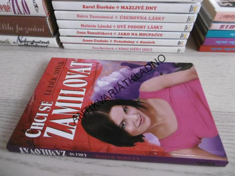 CHCI SE ZAMILOVAT, LUDĚK STÍNIL, **an