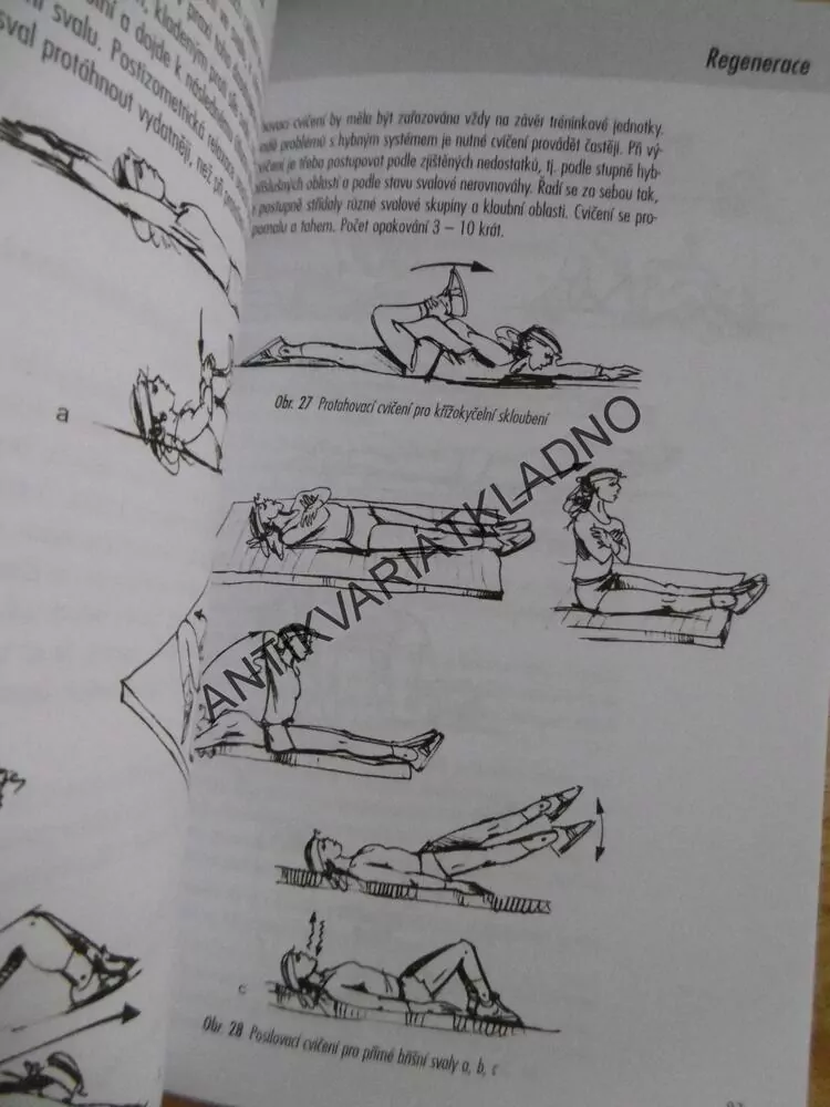 VOLEJBAL, MÍČOVÁ HRA, TECHNIKA, TAKTIKA, KAPLAN