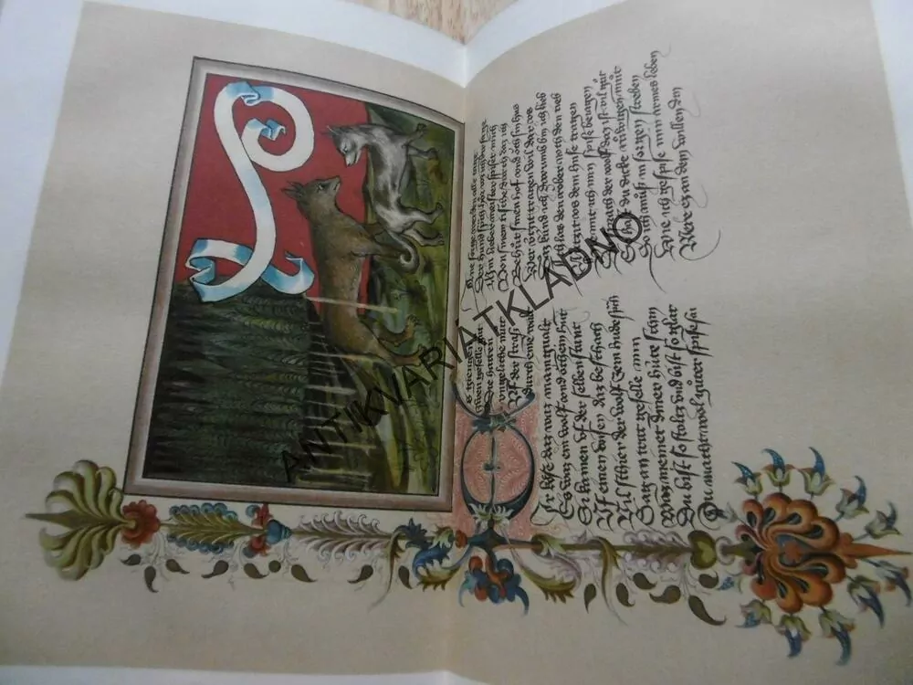 HISTORIE NĚMECKÉ LITERATURY, NĚMECKY,15 LITOGRAFIE, 1904