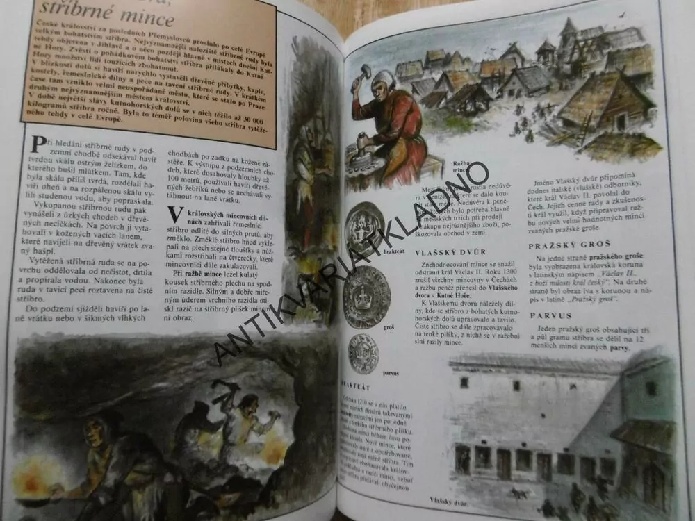 ČESKÉ ZEMĚ ZA POSLEDNÍCH PŘEMYSLOVCŮ, DĚJINY,BÍGL