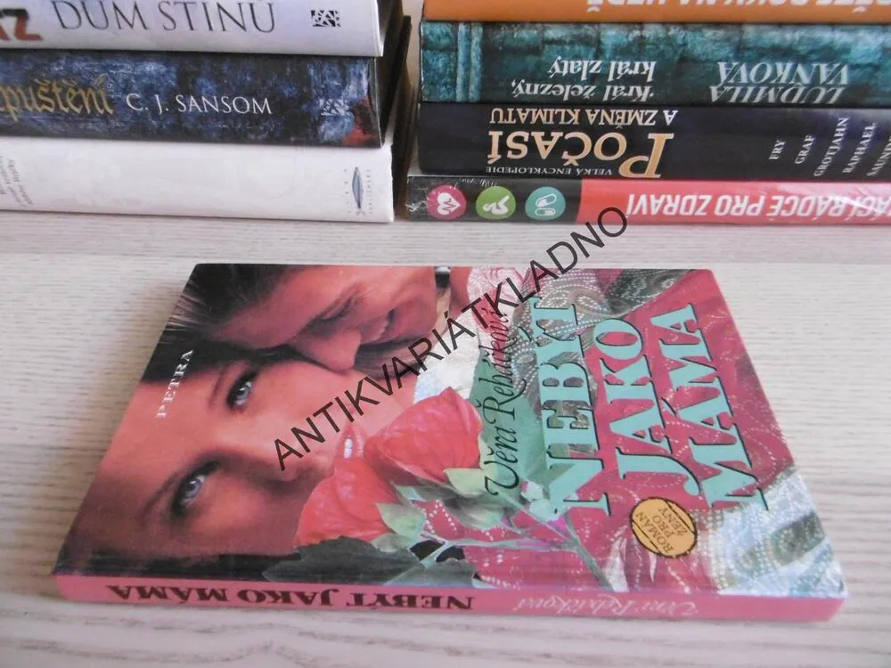 NEBÝT JAKO MÁMA, VĚRA ŘEHÁČKOVÁ, **an