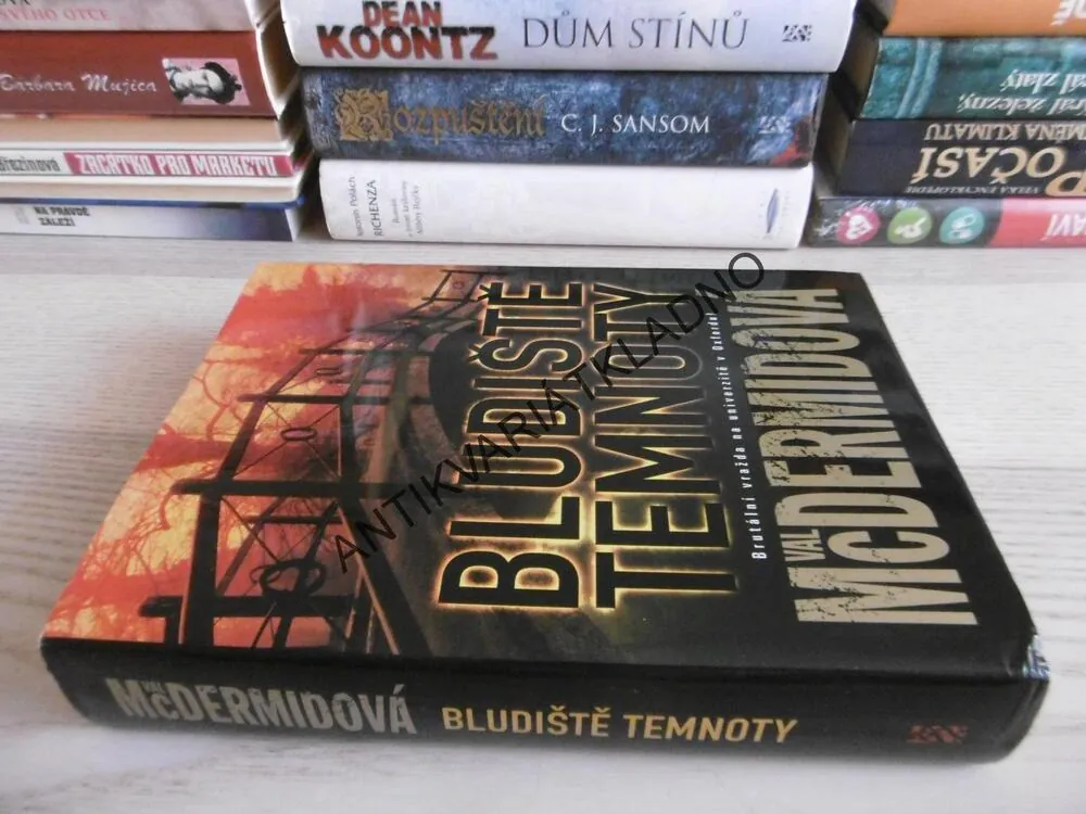 BLUDIŠTĚ TEMNOTY, VAL MCDERMIDOVÁ, **an
