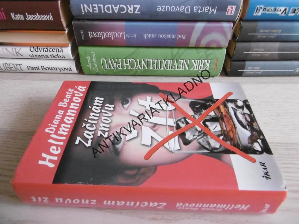 ZAČÍNÁM ZNOVU ŽÍT, DIANA BEATE HELLMANNOVÁ, **an